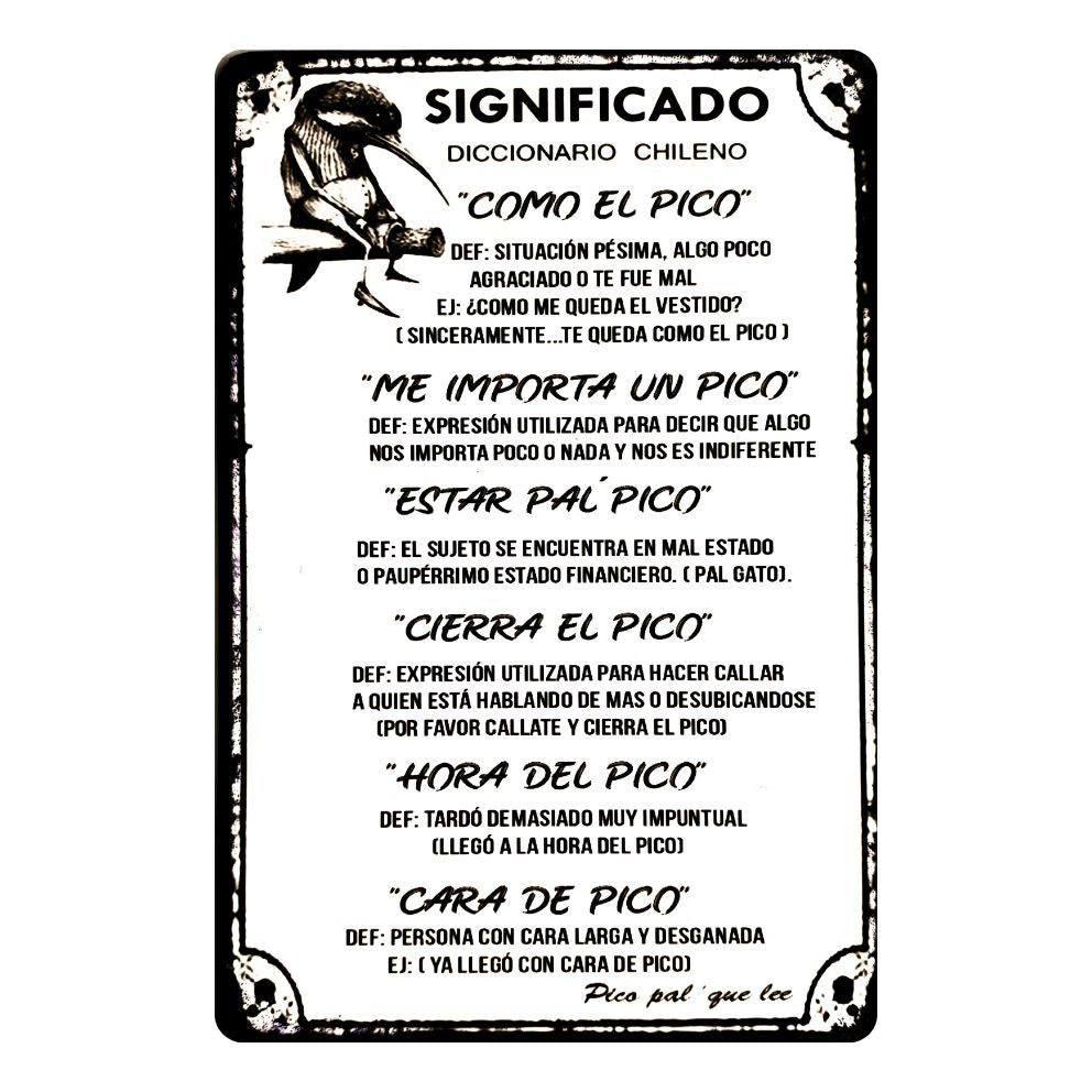 SIGNIFICADO DICCIONARIO CHILENO (P PICO)