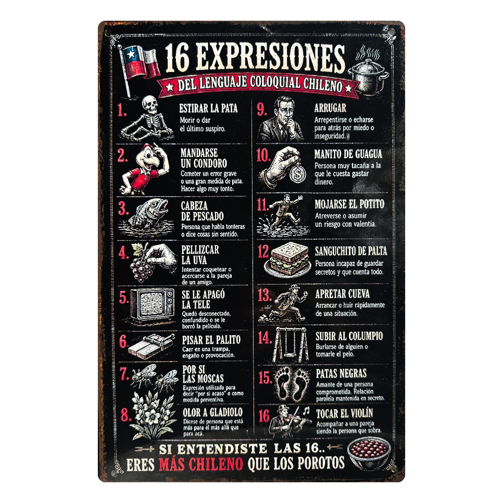 16 EXPRESIONES CHILENAS