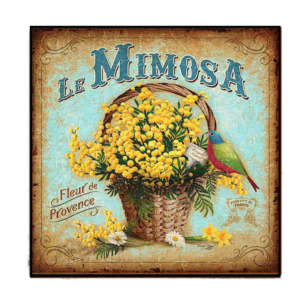 LA MIMOSA