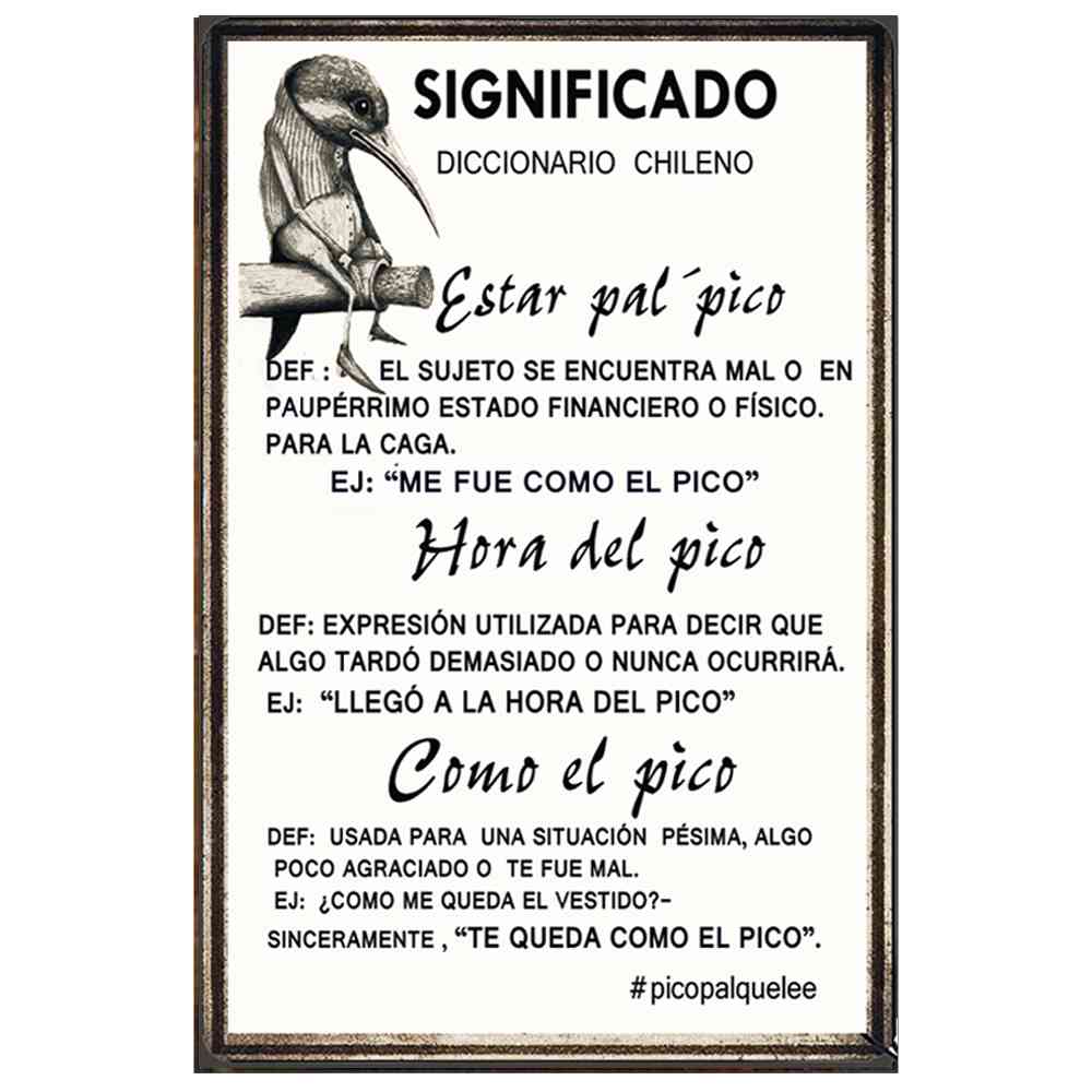 SIGNIFICADO DICCIONARIO CHILENO (P PICO)