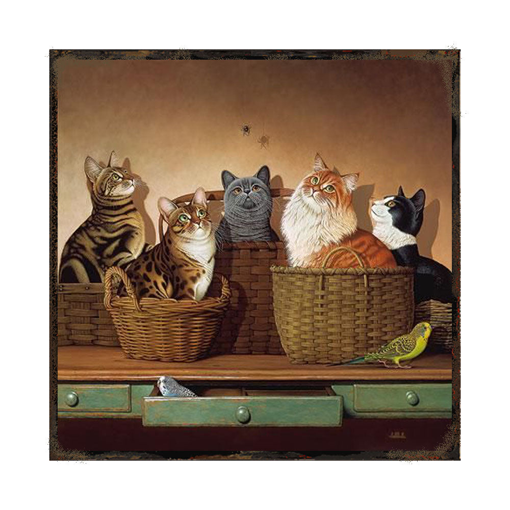 GATITOS EN CANASTOS