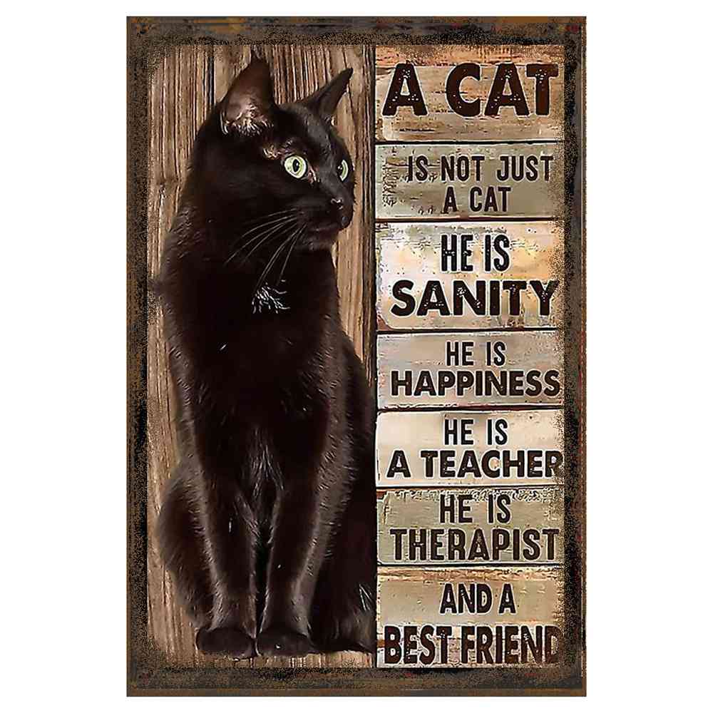 UN GATO ES