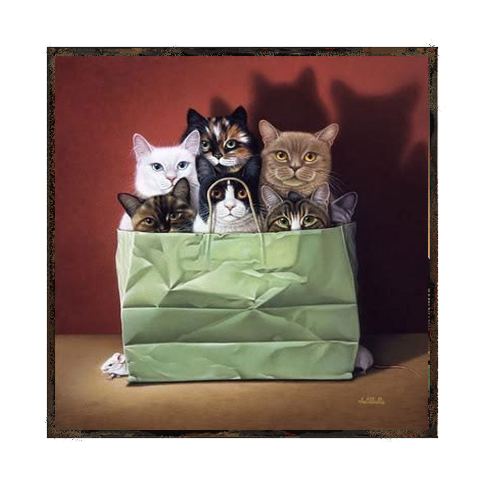 GATOS EN BOLZO DE PAPEL