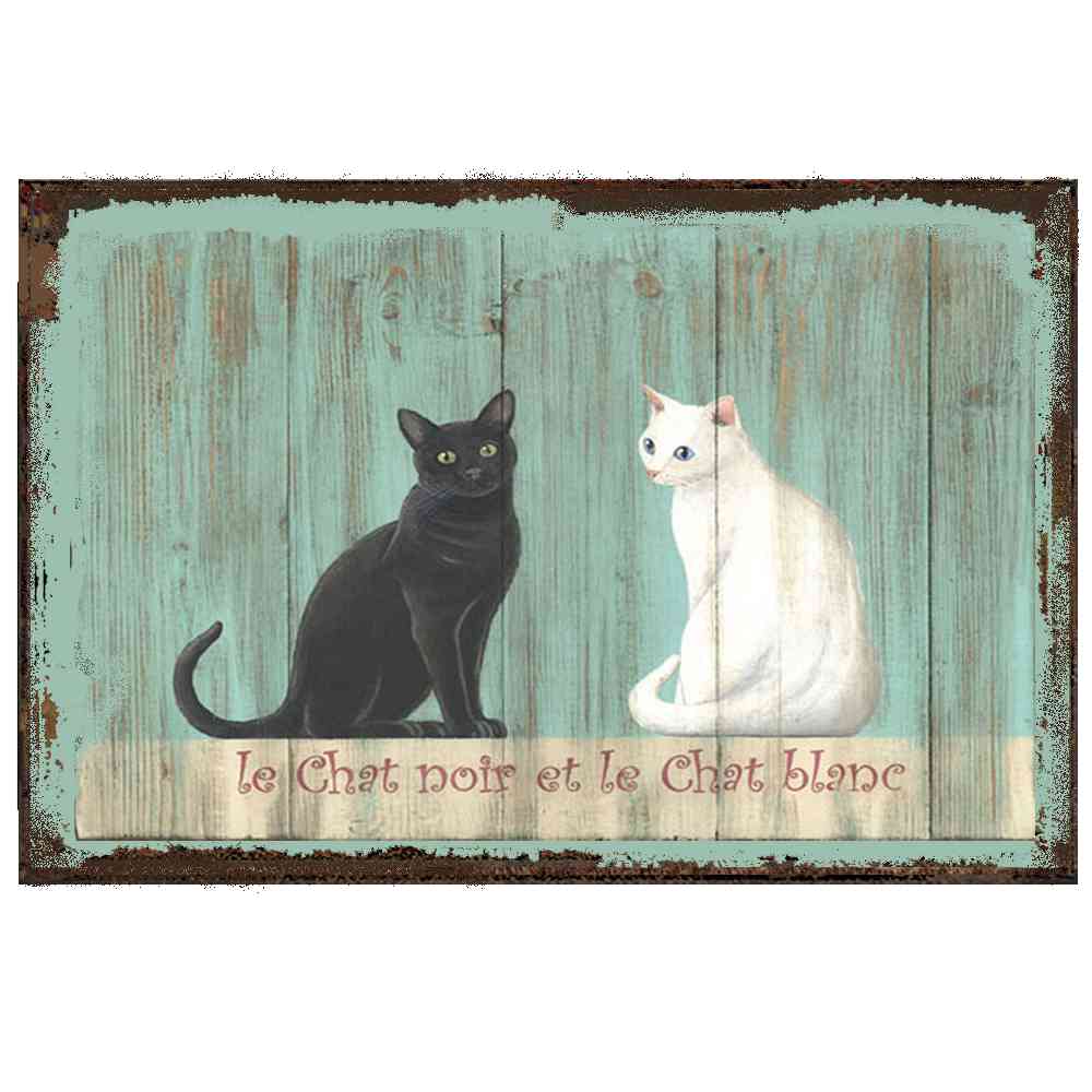 LE CHAT NOIR ET LE CHAR BLANC