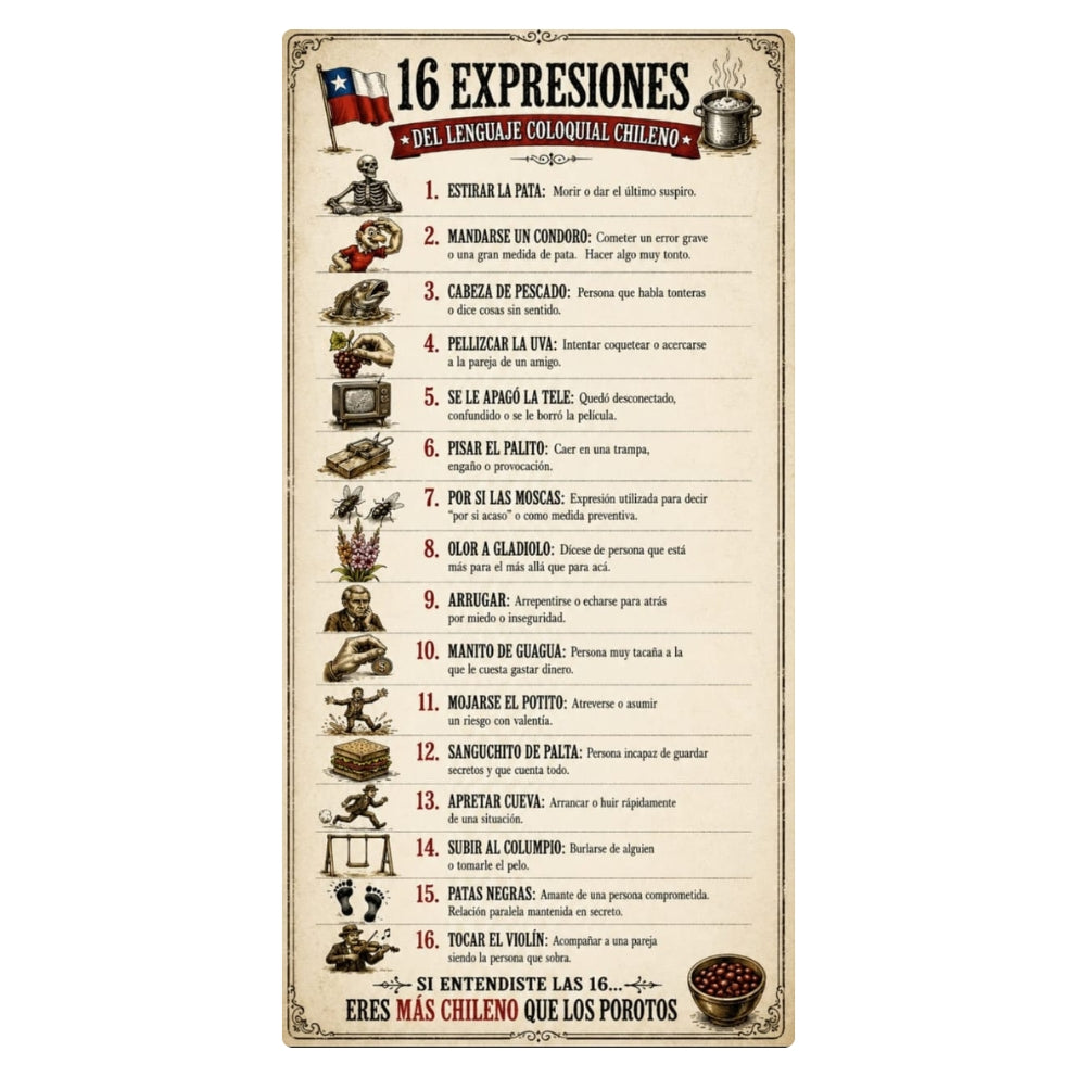 16 EXPRESIONES CHILENAS BLANCO