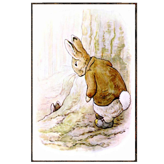 Beatrix Potter papá e hijo conejo escondido