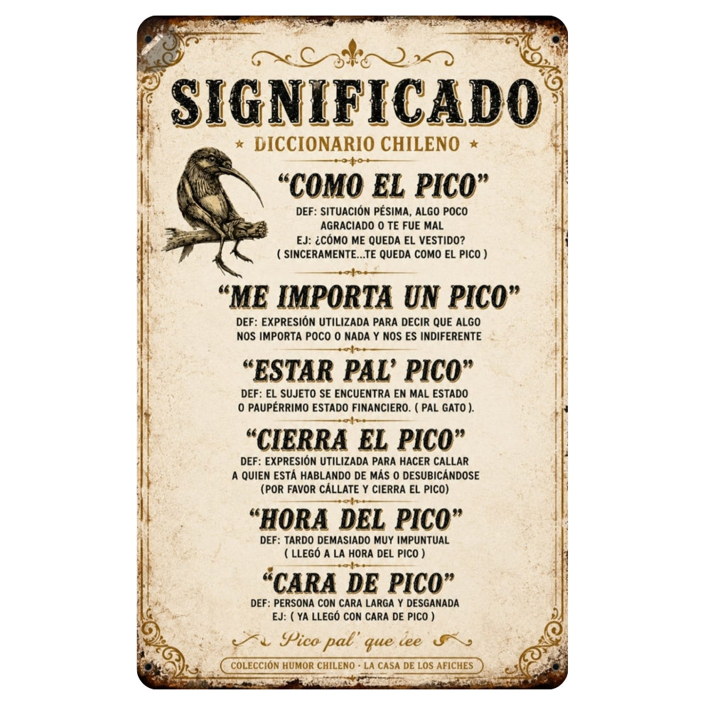 SIGNIFICADO DICCIONARIO CHILENO (P PICO)