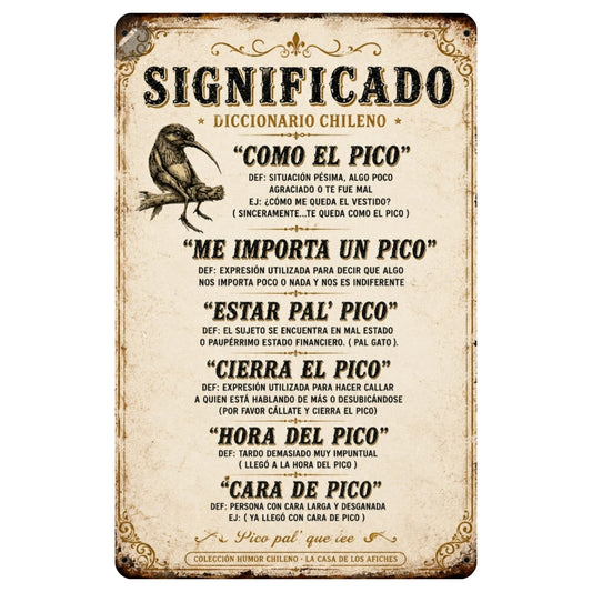 SIGNIFICADO DICCIONARIO CHILENO (P PICO)