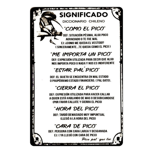 SIGNIFICADO DICCIONARIO CHILENO (P PICO)