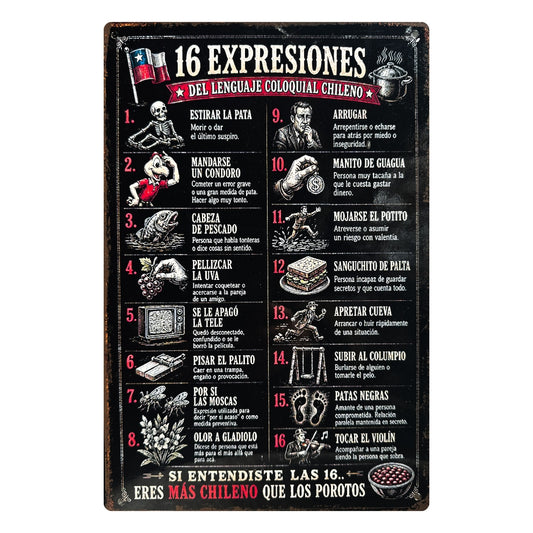 16 EXPRESIONES CHILENAS